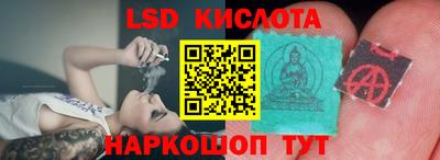 спиды Шебекино