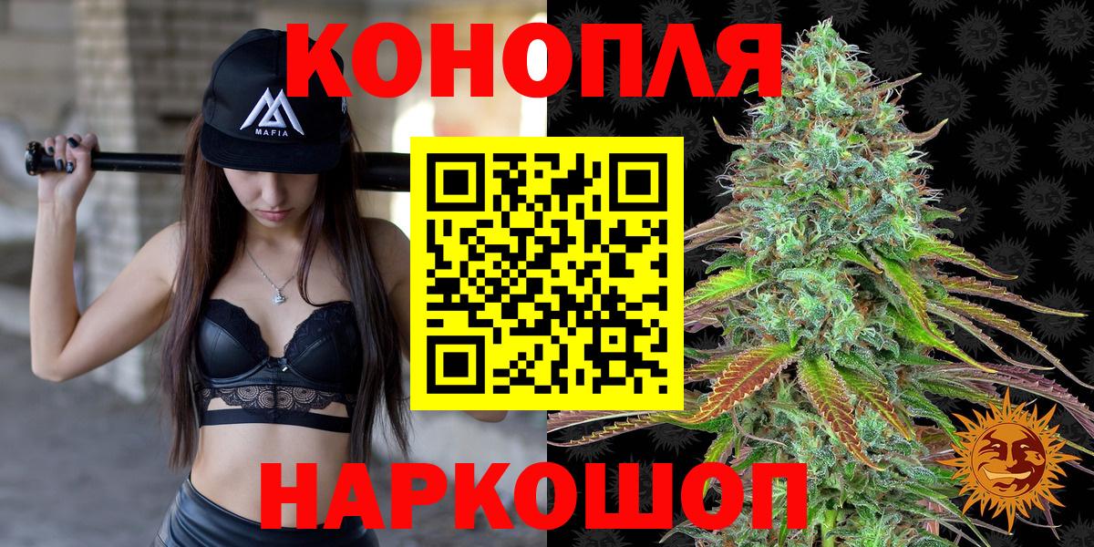 Шишки марихуана SATIVA & INDICA  Бошки Шишки семена  Хабаровск  Вход с VPN  Бошки Шишки OG Kush 